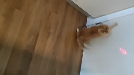 VID_20250902184120.mp4