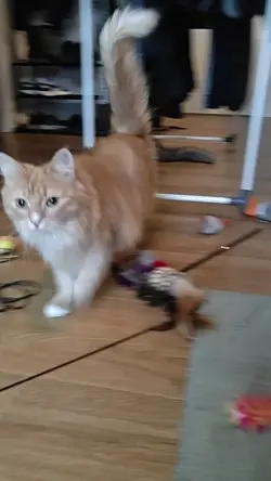 VID20250901182851.mp4