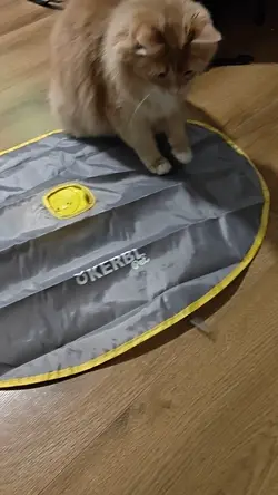 VID20250614001242.mp4