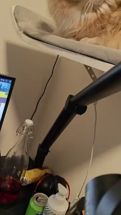 VID20250123200003.mp4