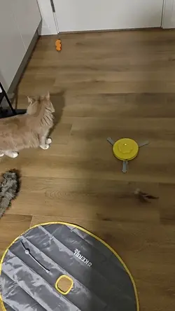 VID20250614001057.mp4