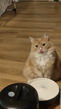 VID20260122174732.mp4