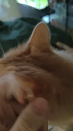 VID20250901183014.mp4