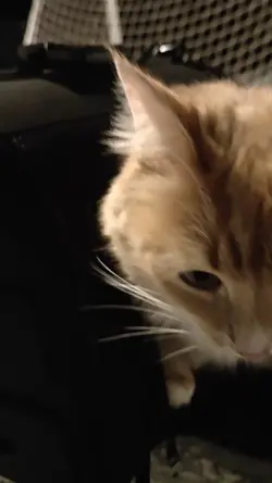 VID20260104191243.mp4