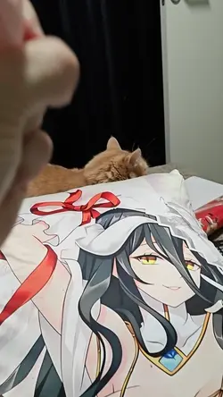 VID20251219163451.mp4