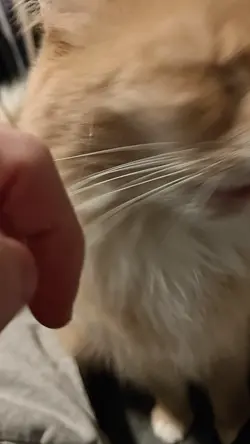 VID20260121174155.mp4