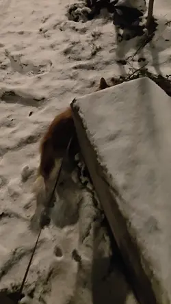 VID20260104190056.mp4