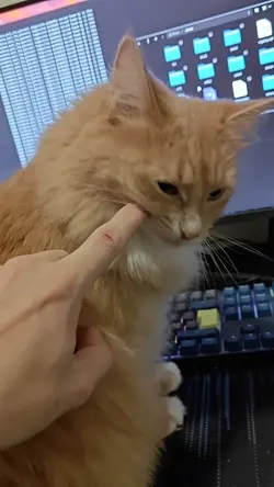 VID20251004002100.mp4