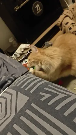 VID20250411004100.mp4