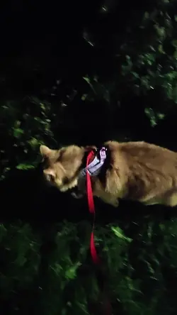 VID20250913223617.mp4