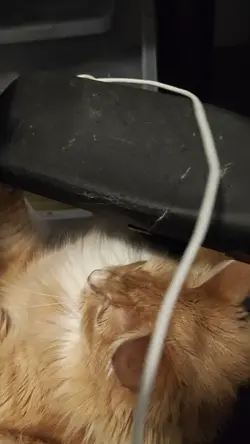 VID20260302231909.mp4