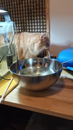 VID20260314202504.mp4