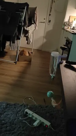 VID20250203000945.mp4